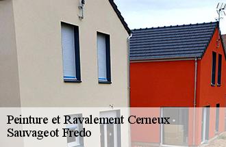 Peinture et Ravalement  cerneux-77320 ile de france couverture