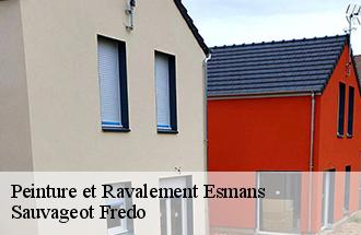 Peinture et Ravalement  esmans-77940 Sauvageot Fredo